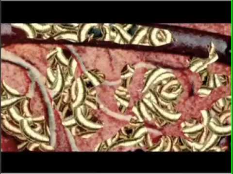 Run Wrake - Rabbit (2005)