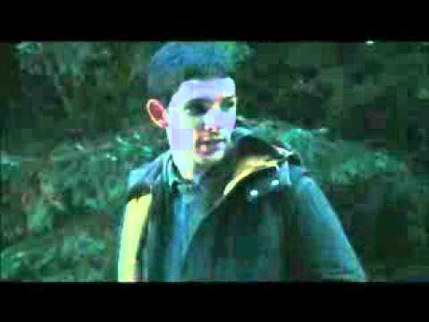 Island Trailer 2011