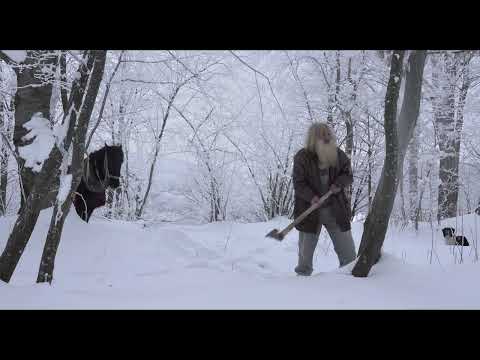 At The Door - Sheffield DocFest 2024
