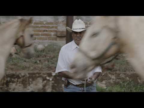 IDFA 2018 | Trailer | Caballerango