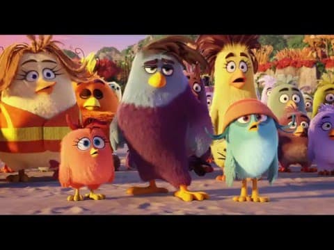 Featurette "Birds vs Pigs"