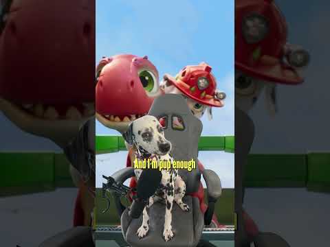 Dog Reaction
