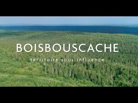 Boisbouscache | Bande-annonce officielle