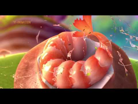 Trailer of Movie