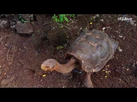 Biodiversity