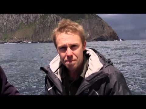 The Wild life of Tim Faulkner compile