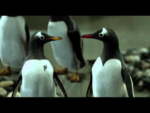 International Trailer 2