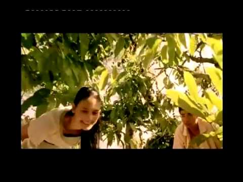 RUANG official trailer