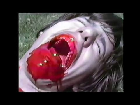 Nightmare Vacation - Lost Polonia Brother's Film
