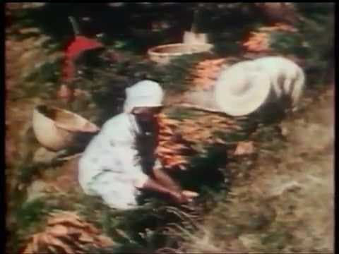 la reunion longtemp 1955
