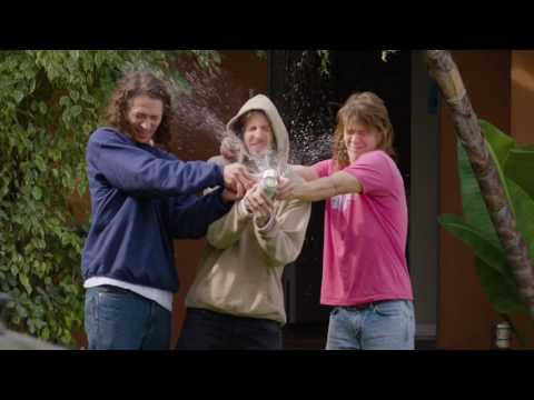 Birdhouse "Saturdays" teaser