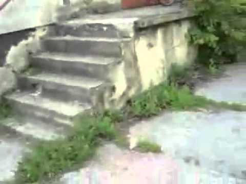 Paweł the Jumper - Original