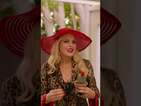 Meet Marsha today!