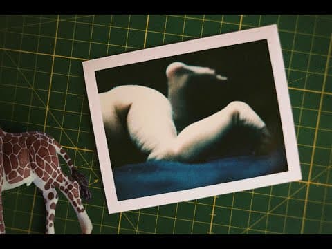 LIFE & Other Problems - OFFICIAL TRAILER