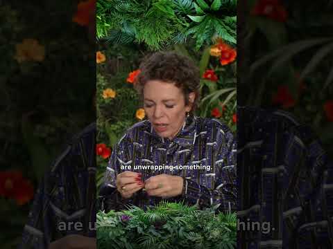 Antonio Banderas and Olivia Colman Discuss Their Favorite Popcorn