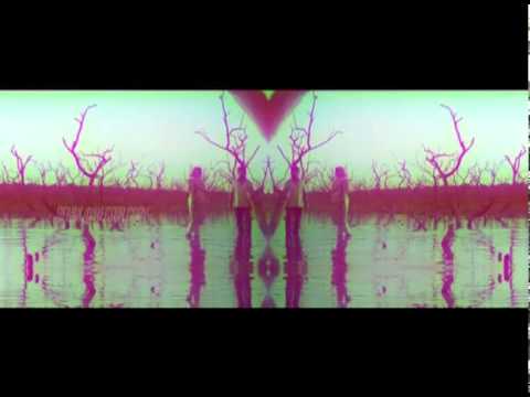 CHAAPPA KURISHU  REMIX