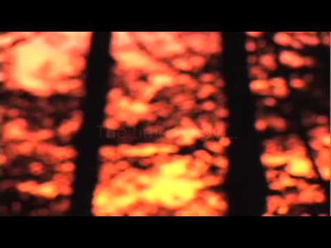 For The Next 7 Generations TRAILER