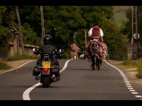 Flavours of Romania trailer