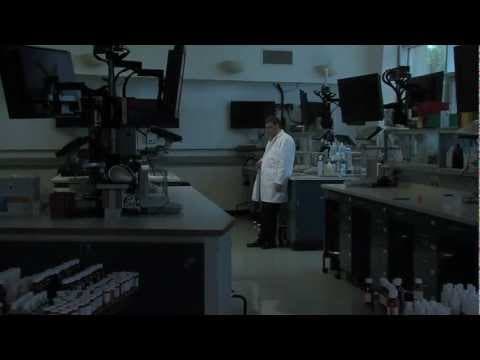 Beyond the Basement Door (Trailer)