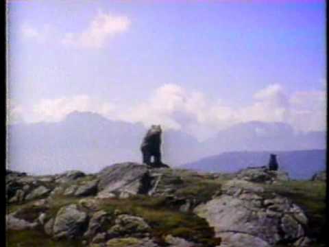 CTV Special Movie bumper The Bear 1992