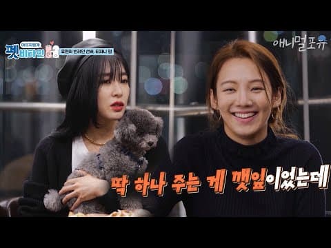 집순이 효연을 닮아 무기력해지는 반려견 '바바라'의 건강 상태는?  [펫 비타민] KBS 210121 방송