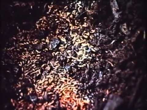 Povelitel Mukh (Lord of The Flies) Vladimir Tyulkin,1990