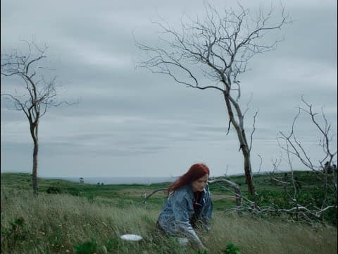 Blueberries for Iris OFFICIAL TRAILER