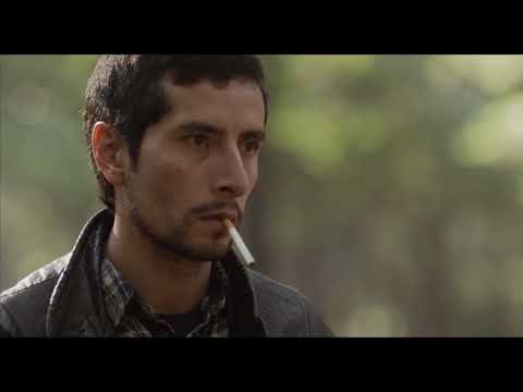 Larva / Trailer