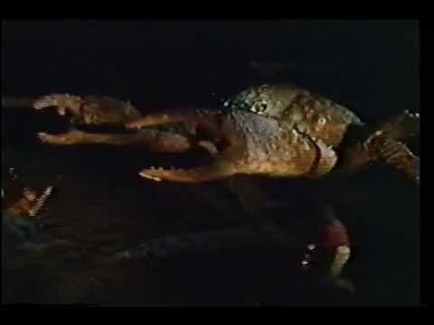 Island Claws  1980  Hernan Cardenas