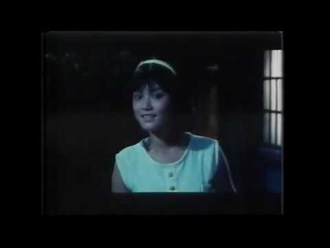 台湾怀旧电影-小镇医生的爱情