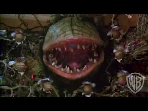 Trailer 62