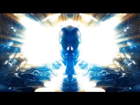 Bufo Alvarius - The Underground Secret - English Trailer