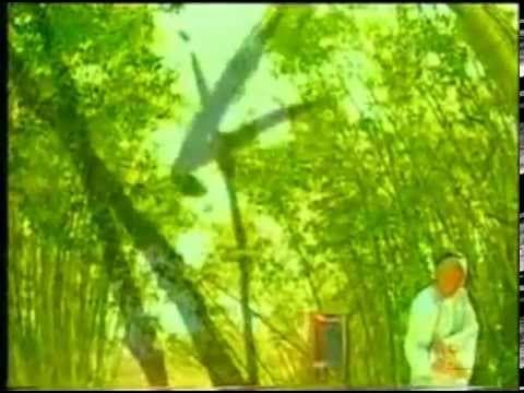 Doomed to Oblivion (Theme Song 2002) | 難得糊塗 - 王喜 : TVB 《鄭板橋》