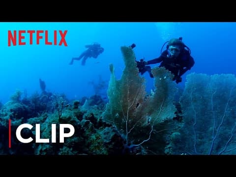 The Ocean Is Dying