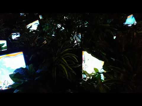 TV Garden by Nam June Paik