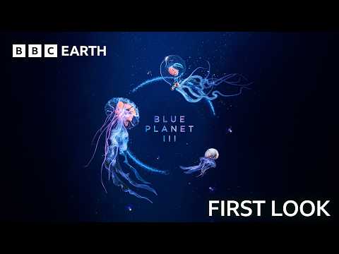 First Look Trailer