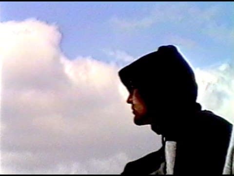 Nostradamus II