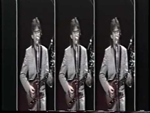 George Harrison and Eric Clapton - Live In Japan, 1991.