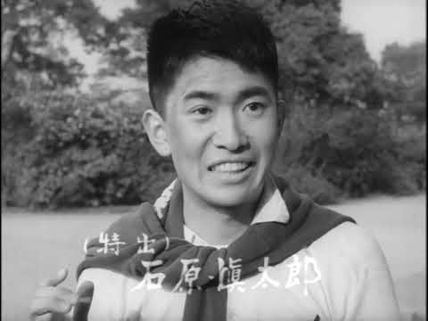 太陽の季節