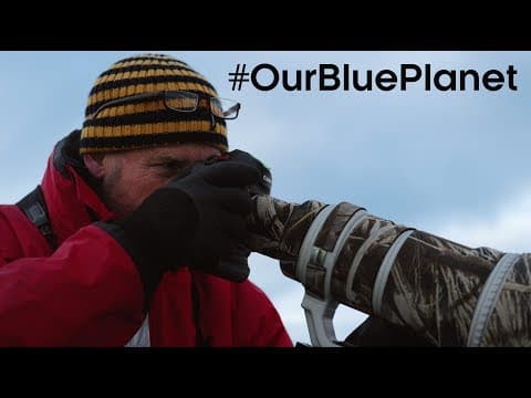 What Does It Take To Be A Blue Planet II Cameraman? #OurBluePlanet | BBC Earth