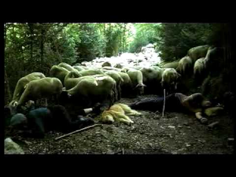 Trailer Película El somni  /  El sueño  /  Le rêve  /  A  dream  de  Christophe  Farnarier