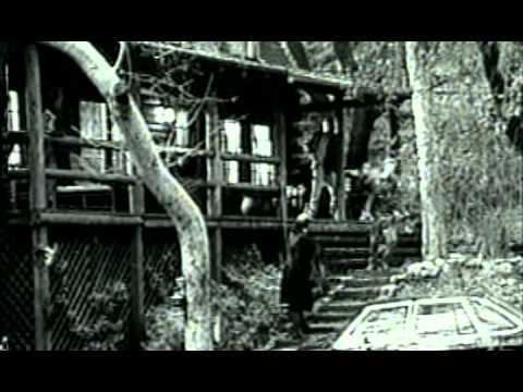 Chameleon - Trailer