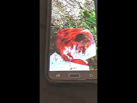 The Torture Memos “frantic call” trailer