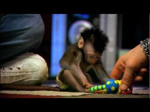 My Monkey Baby