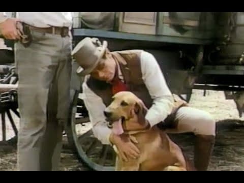 Disney's "Boomerang, Dog of Many Talents" Part 1 Season 15 Ep 2