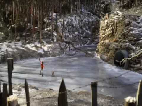 Peter and the Wolf - Trailer