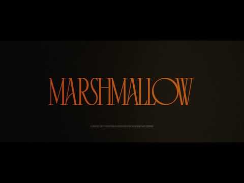 Teaser