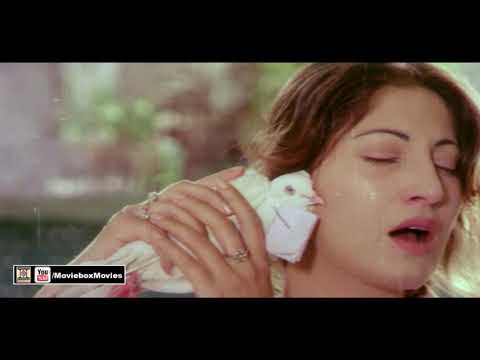 Ja Ud Ja Lai Ja Cheethi Mere Dholay Di | Saima | Pakistani Film Song | Film Mehndi Waley Hath