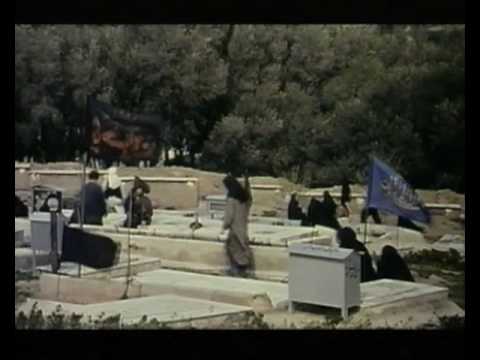 Through the Olive Trees - Trailer