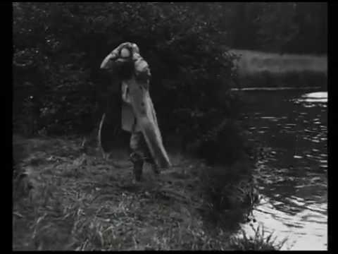 Boyarin orsha (Pyotr Chardynin, 1910)